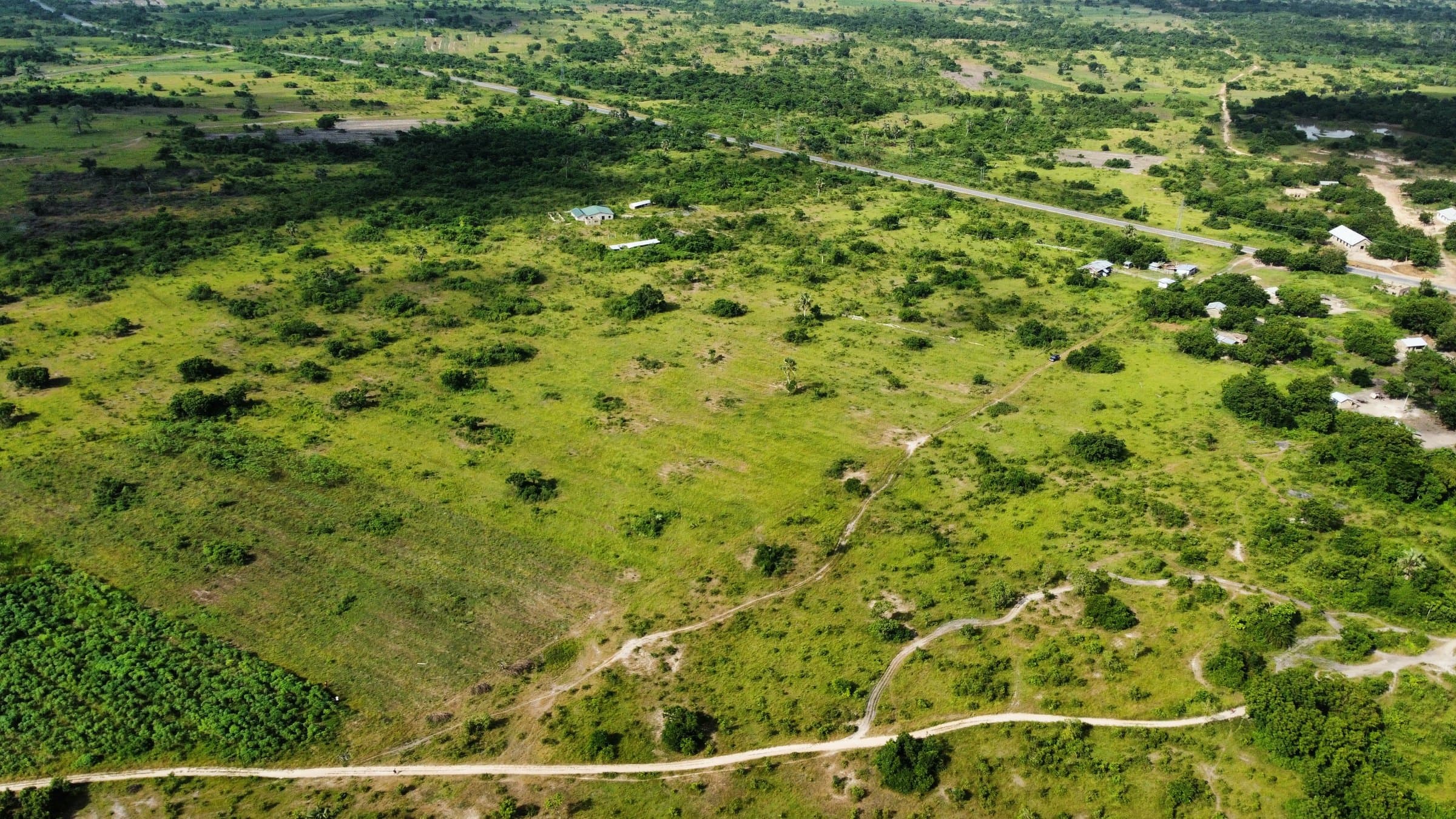 Aerial drone photo of the access road bordering the Ubuntu Eco Gardens site