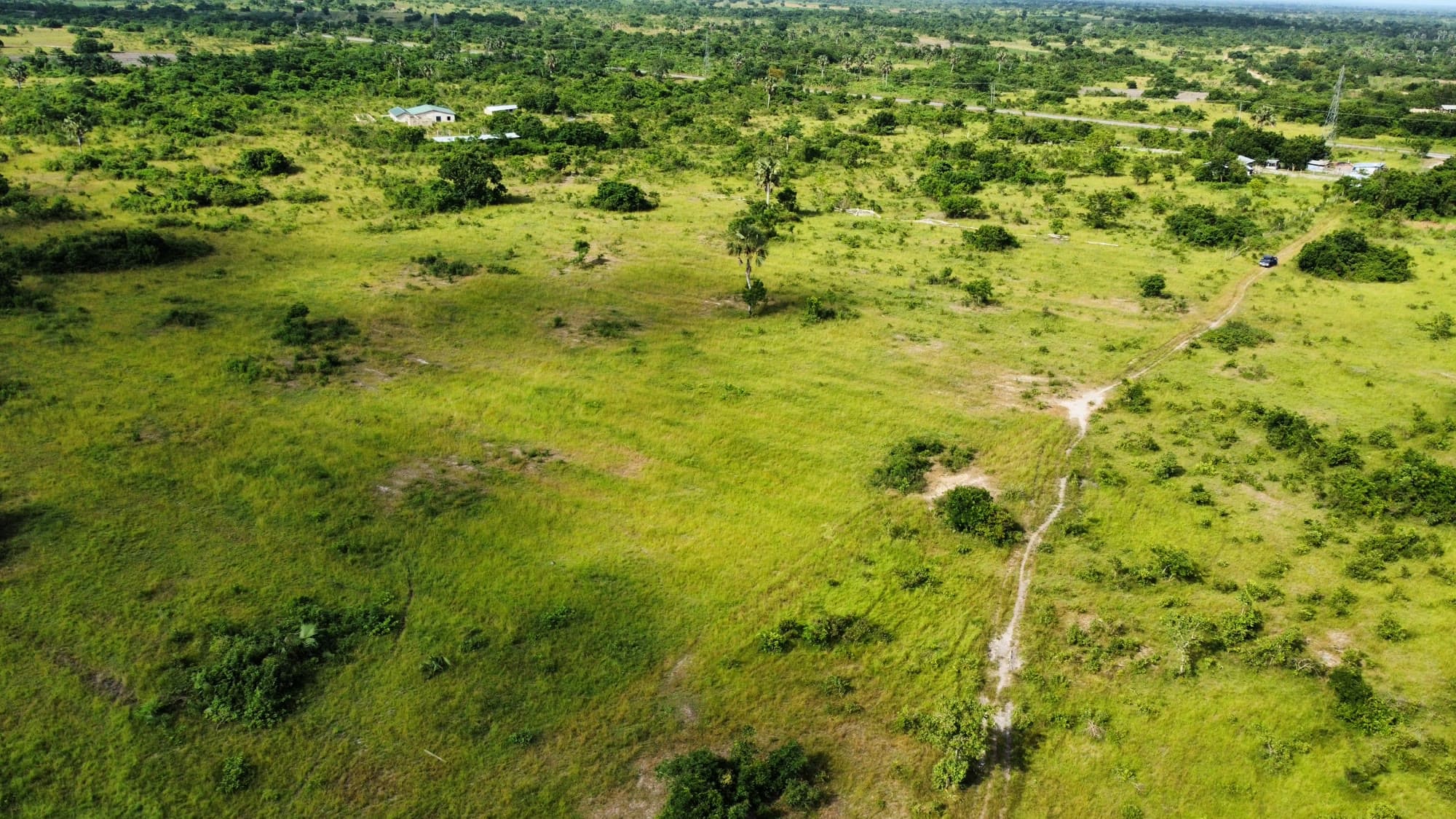 Aerial drone photo of open grassland and bush at the Ubuntu Eco Gardens site